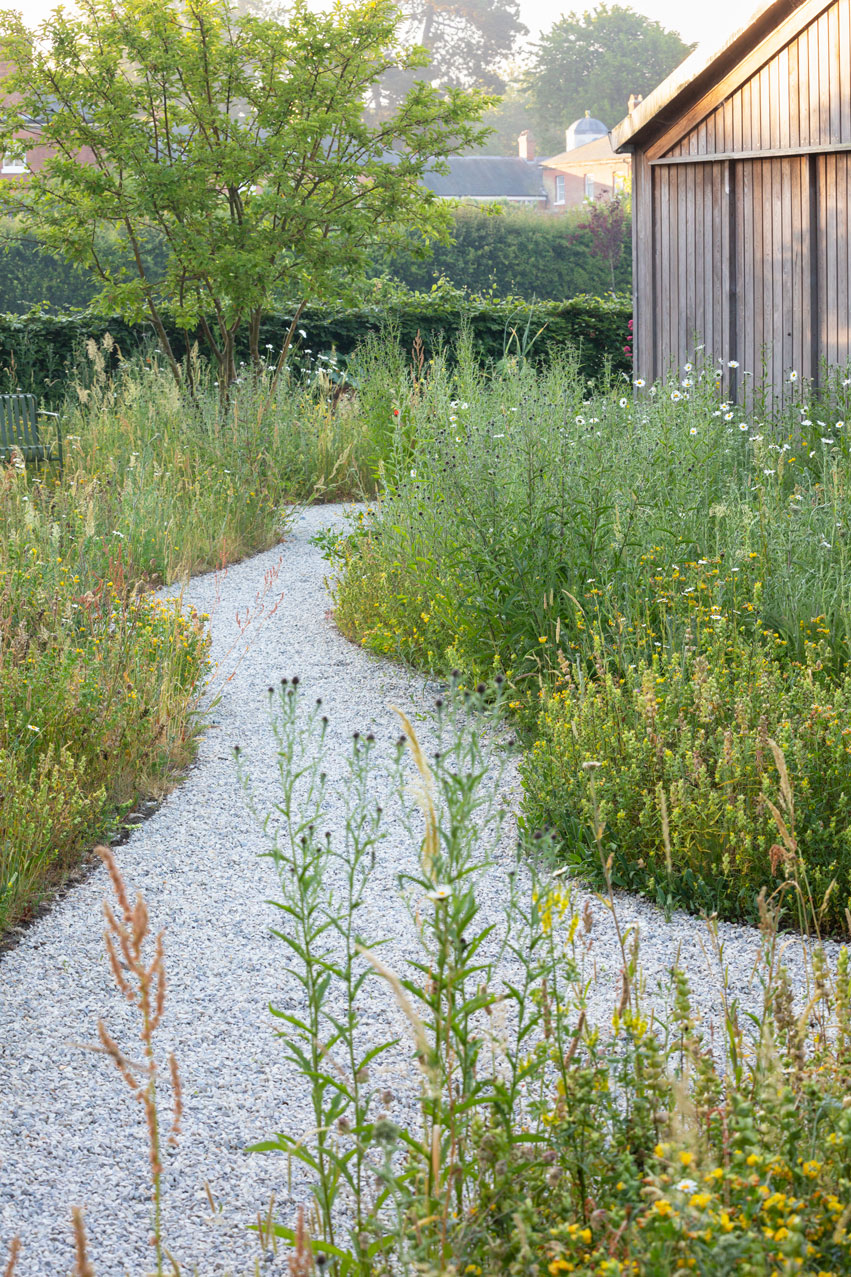 Colm Joseph suffolk garden design gravel path through wildflower meadow crab apple tree malus wintergold naturalistic planting